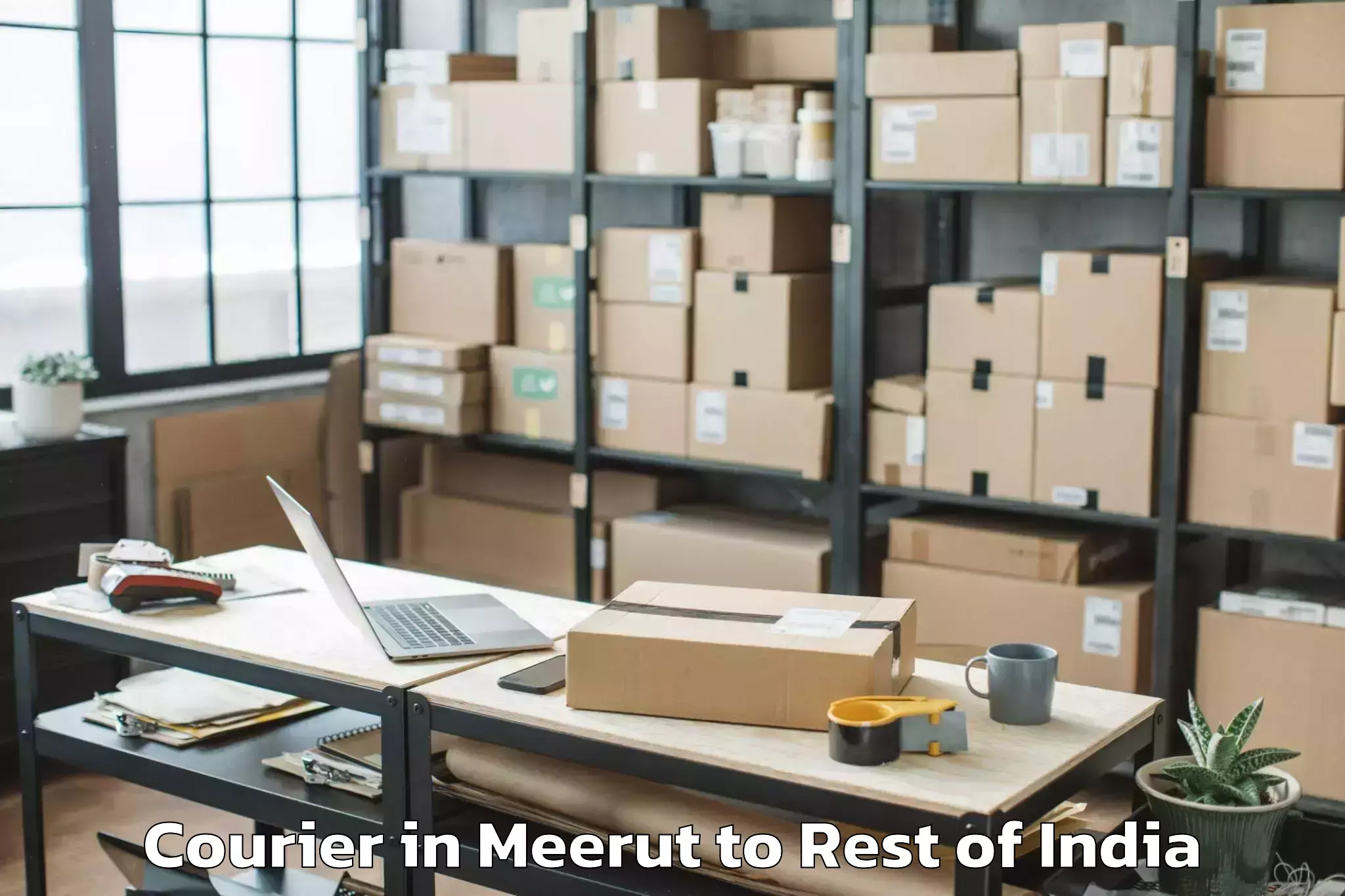 Book Meerut to Pangin Courier Online